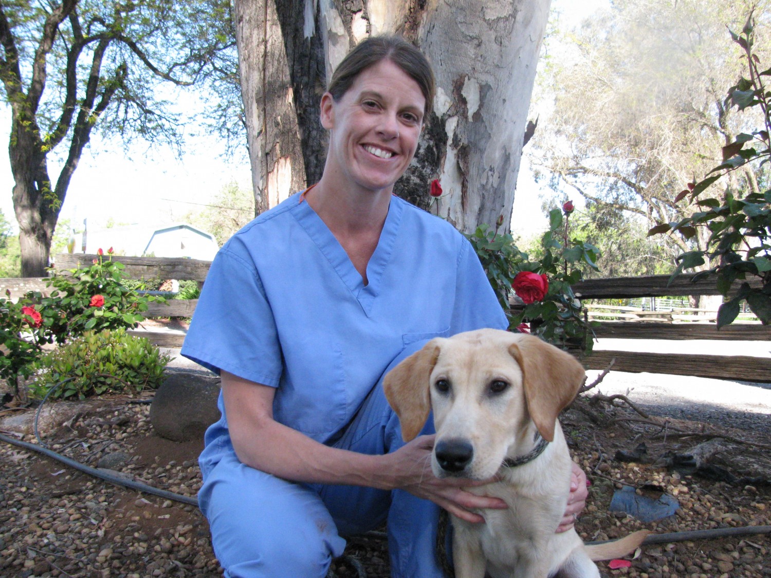 Evers Veterinary Clinic / Our Staff